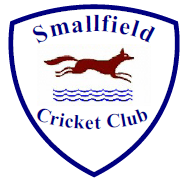 Smallfield Manor CC (@smallfieldcc) 's Twitter Profile