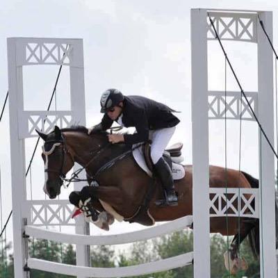 Quality jumps designed by riders for riders at affordable and reasonable prices! Instagram: customplatinumjumps