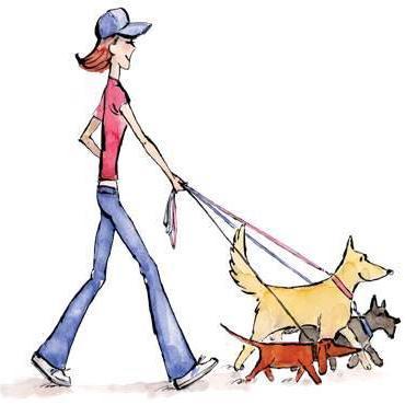 Al jaren wil ik een uitlaatservice voor honden, mensen helpen die tijdelijk of voor langere duur hulp nodig hebben om hun hond. Nu kan het bij stella's dog care