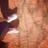 nestamalan's profile image