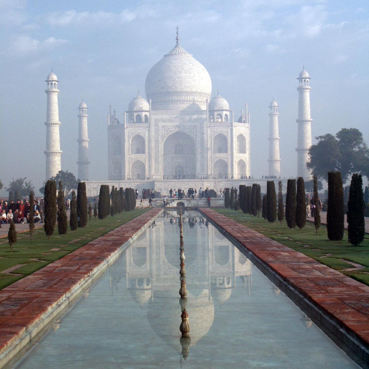 FaouziAlouach's profile picture. 