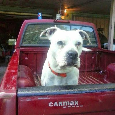 markettech25801's profile picture. 