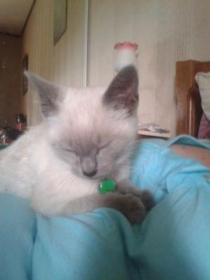 XSmanon123's profile picture. 