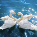 claudia marquez  - @ADRIANA011010 - Twitter