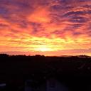 Patrick Kurz - @patrickkurz66 - Twitter