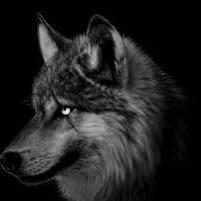 cristiankit02's profile picture. 