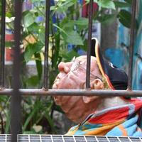 JCLópez. (@jclv01) 's Twitter Profile