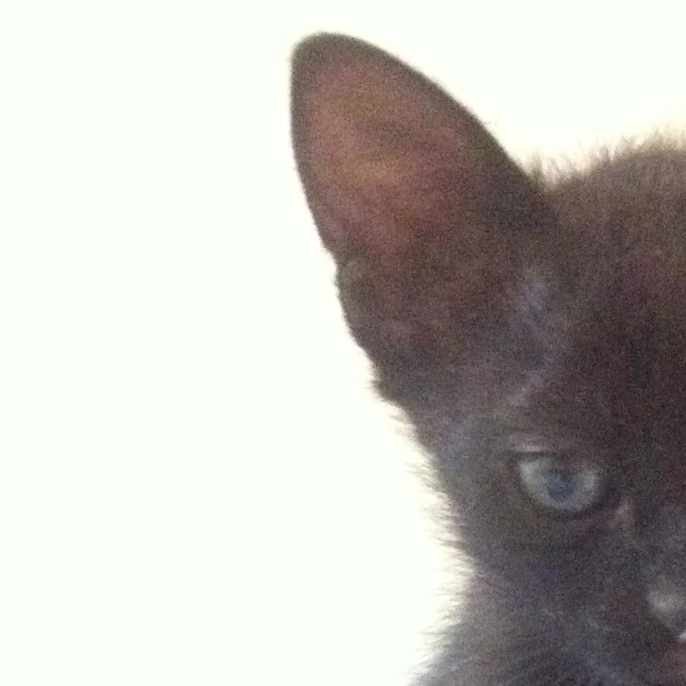 Valia___'s profile picture. 