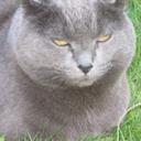 Maria Santos Smith - @KulasantosSmith - Twitter