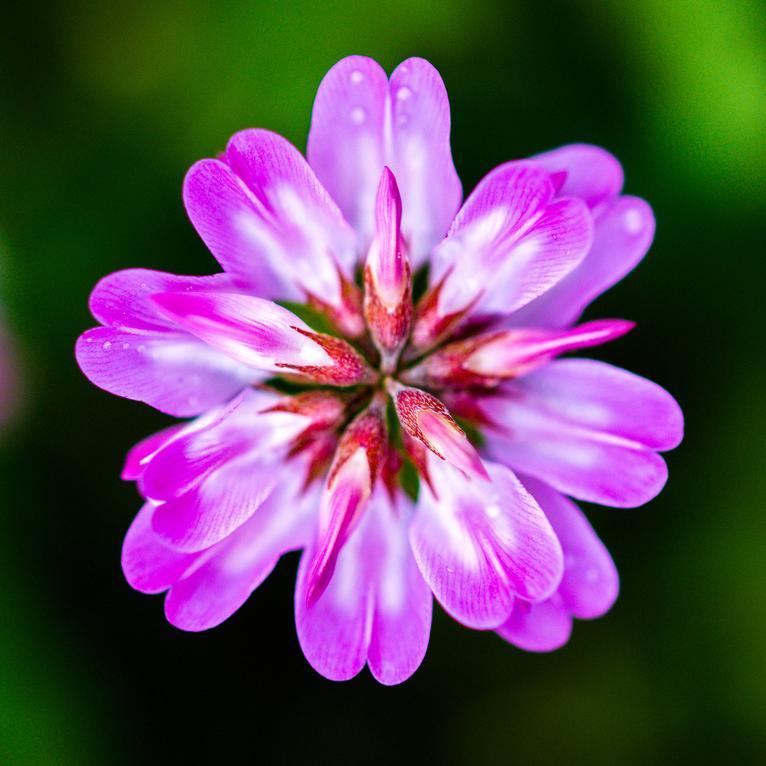 Free spiritual resources and musings. Uncover new ways to practice, heal and be happy!
