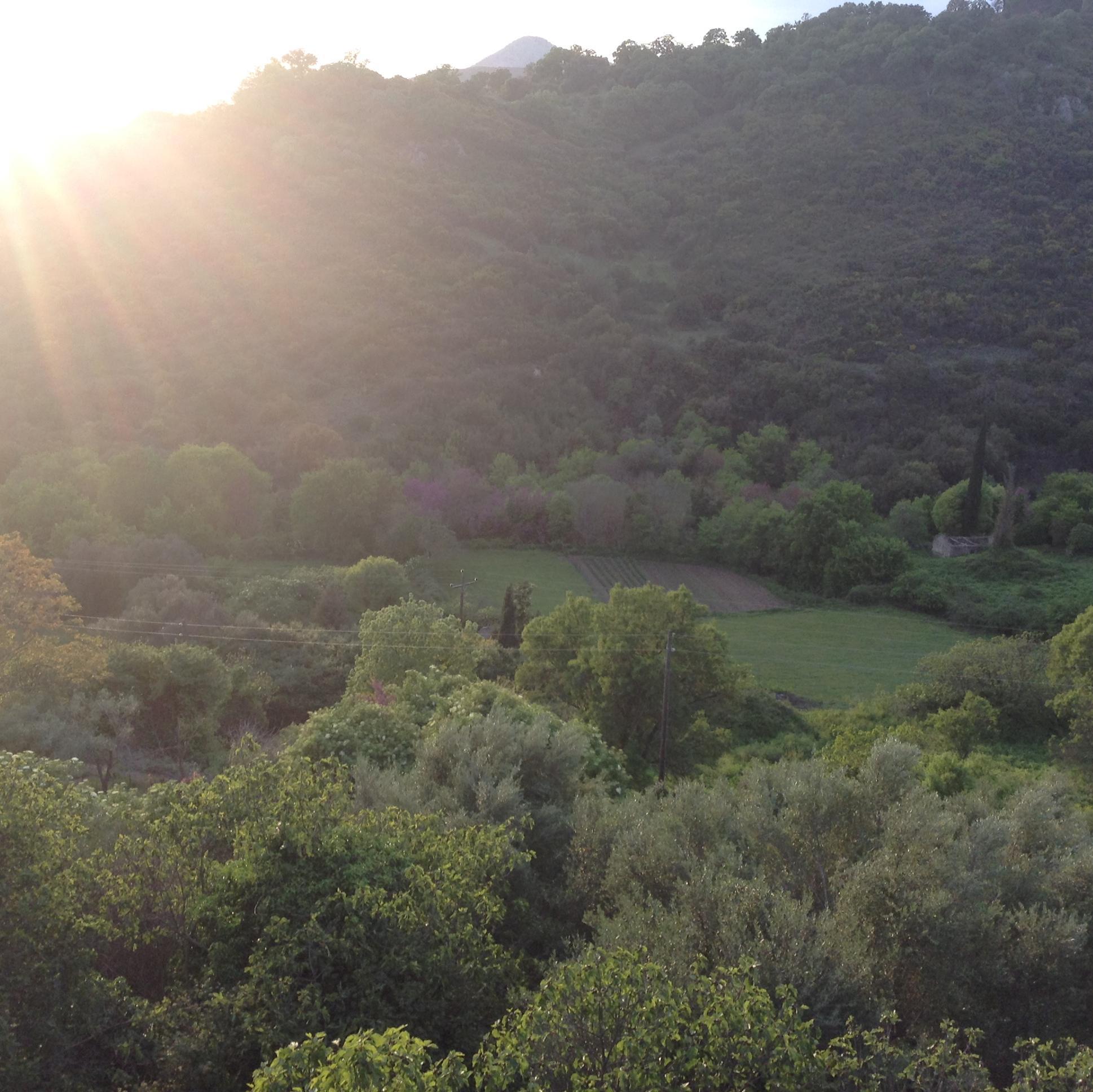 gnikola1's profile picture. Γιώργος
Πρόδρομος