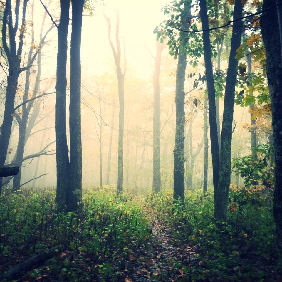 RussellChamber's profile picture. 