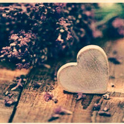 f309ca557de0489's profile picture. 