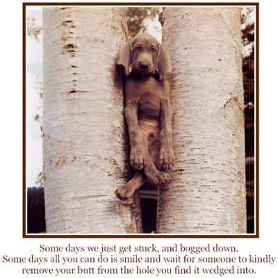 Matt_Tillson's profile picture. 