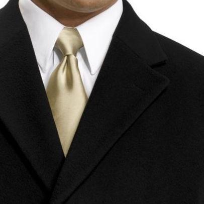 CuteSaysWill's profile picture. Follow me... See cute stuff. It's quite simple really.