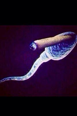 leonator16's profile picture. 