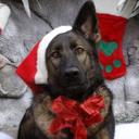 Fiona Jayne Mackay - @fmackay1966 - Twitter