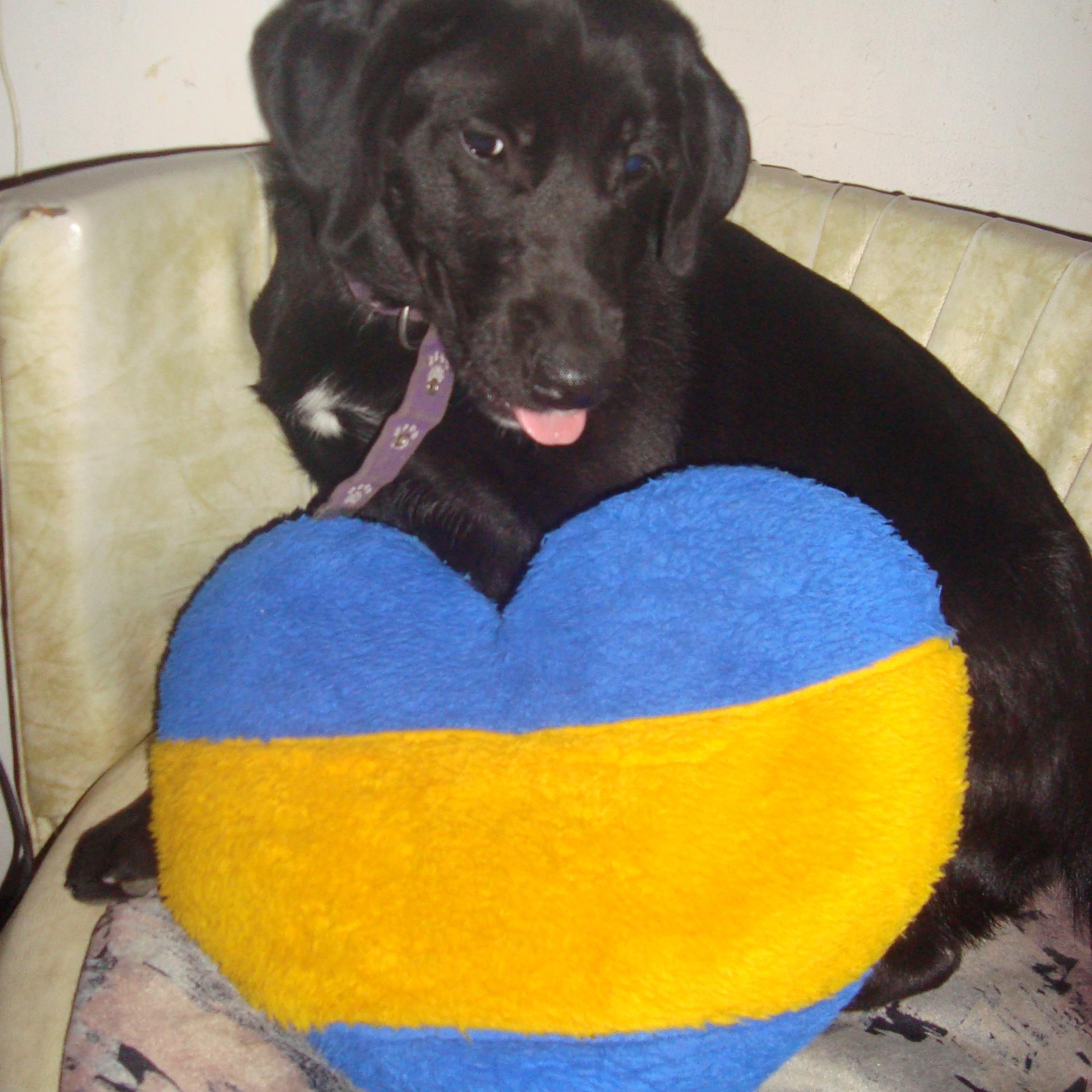 Bostera ♥ BOCA te llevo en el alma y cada día te quiero más ♥ Mueve, une, sana y calma MUSICA llenás mi alma ♪♫ ♥ Futura contadora pública
