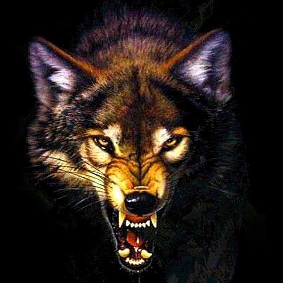 stxezy's profile picture. SnD heathan. ABOUT THAT GRIND. HMU for scrim, team, or other offers... like sponsors.