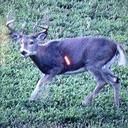 Angelo Nikitas - @NikitasAngelo - Twitter