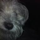 Michael Lowes - @MichaelLowes2 - Twitter