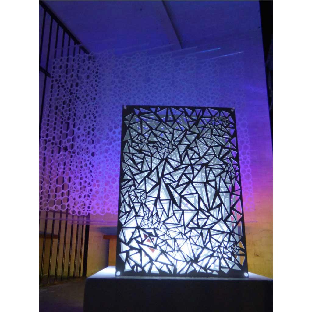Insallation Artist and Designer