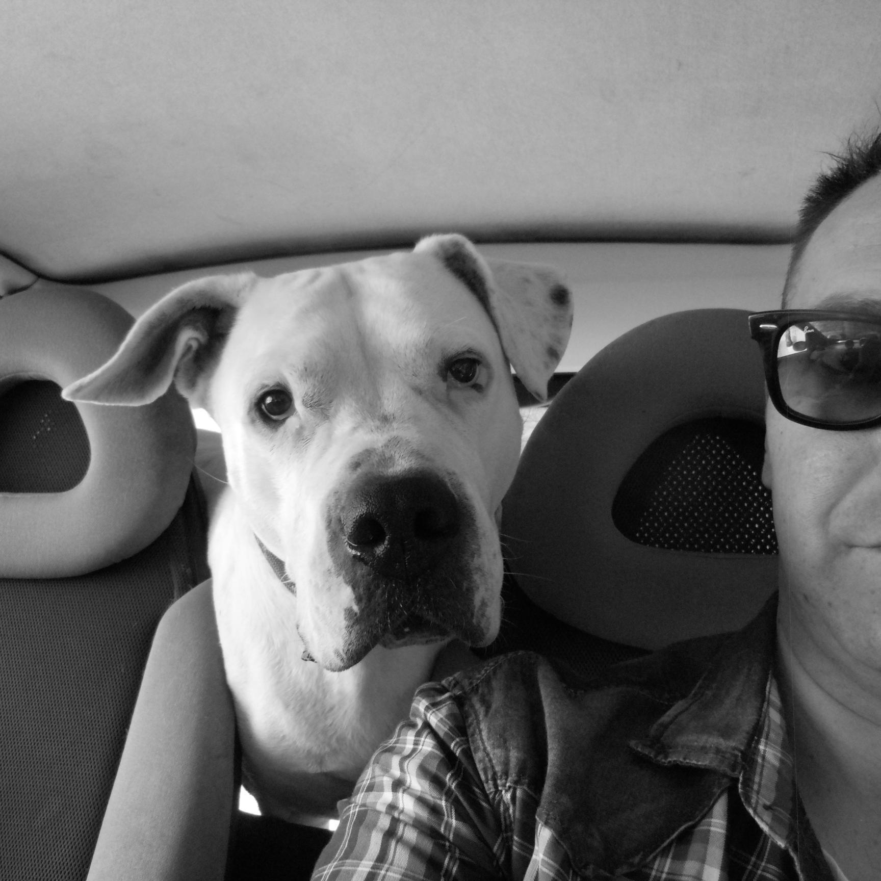 Birmav's profile picture. Mark Evangelist Chapter 5 Verse 9
#tor fanatic
#dogoargentino owner lover
1N2YnVzCTsdPqbxRQwRavPi8K4x89F9VU