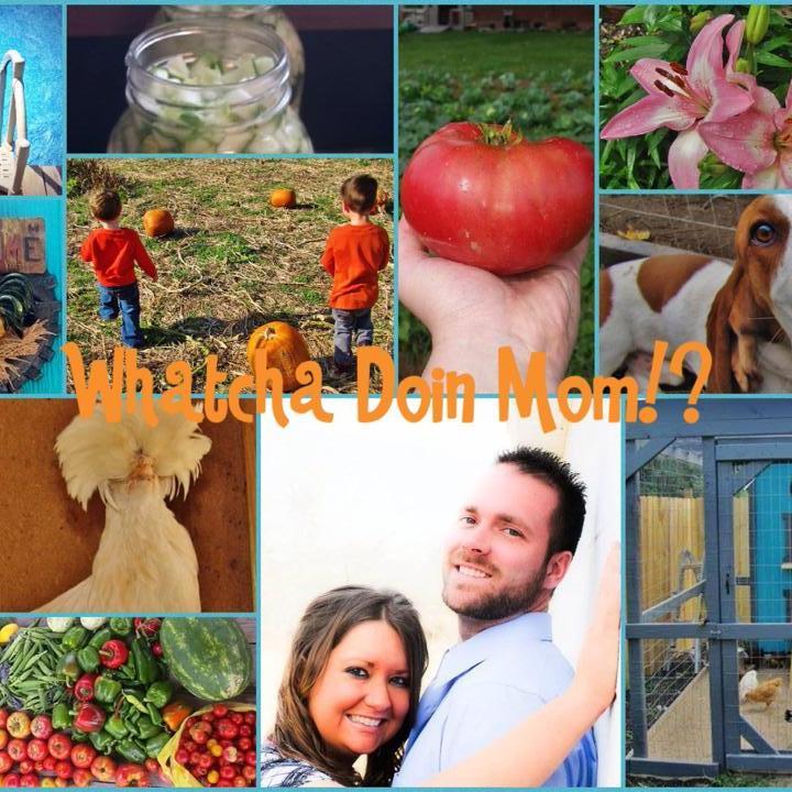 I am a #mom #homesteader #gardener #DIYer #recipe maker, #chicken keeper, #money #saver and sometimes I am #funny