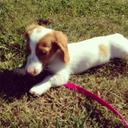 Bernie mitchell - @concord0020 - Twitter