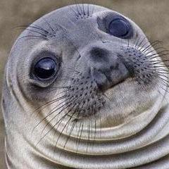 theawkwardseal's profile picture. Being awkward, and sealy