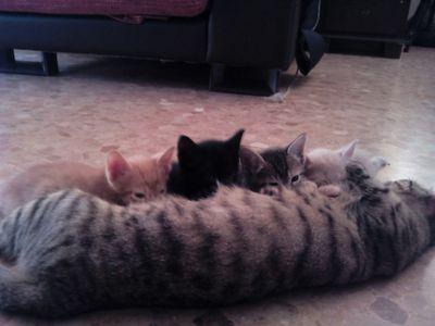 roflodi80's profile picture. 