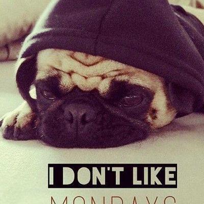 LashayRaychel's profile picture. bitch please