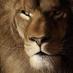 Aj el power (@armandocamargo) Twitter profile photo