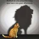 Sandra Moreta - @SandruMoreta - Twitter