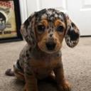 Mariya Rivera - @mariya_rivera - Twitter