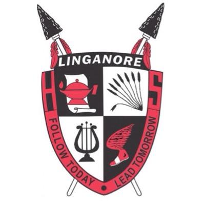 LHSsafeandsane's profile picture. Follow us for the latest updates on Linganore High School Safe&Sane