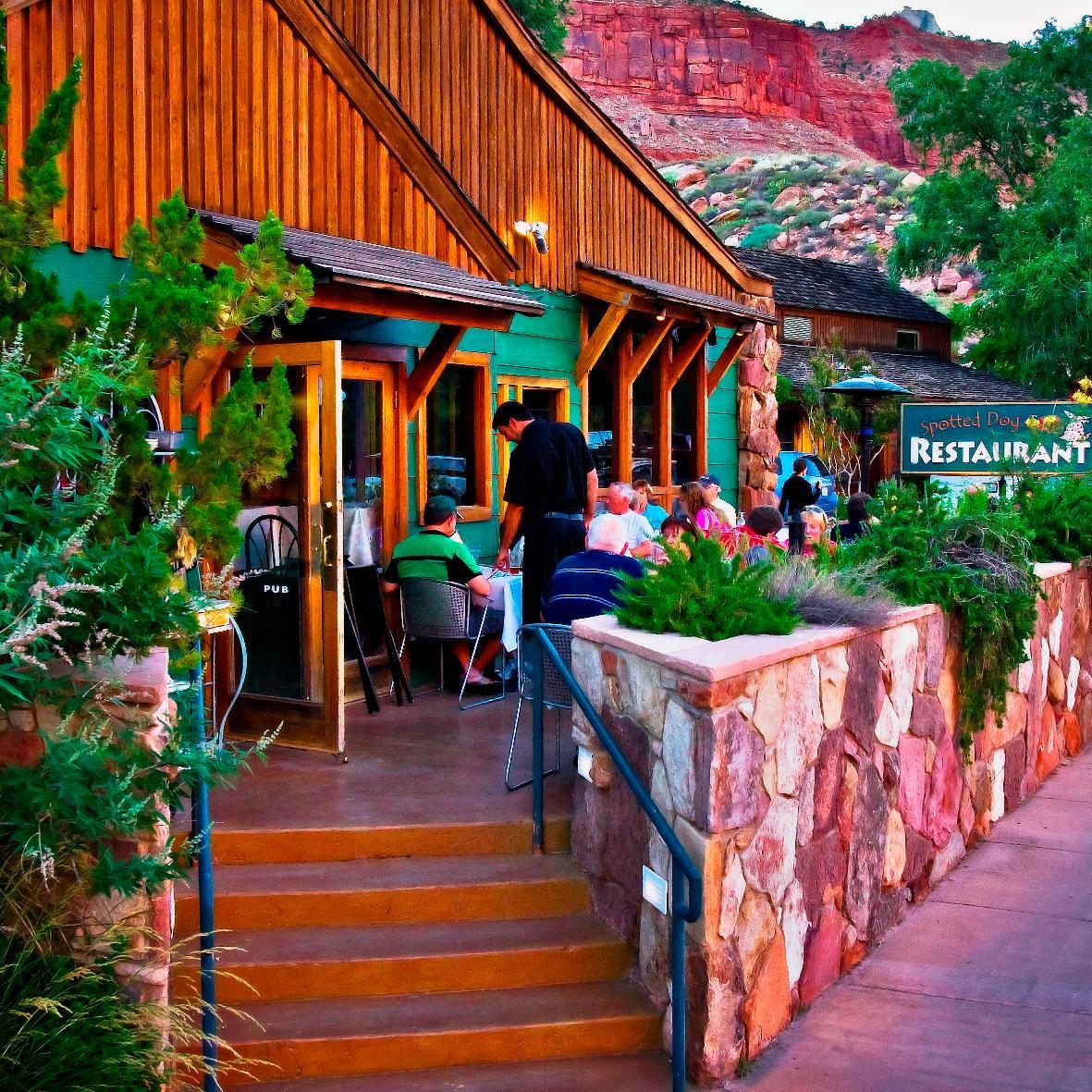 Spotteddogcafe's profile picture. 