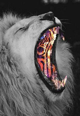 Ooo3_3nnn's profile picture. 