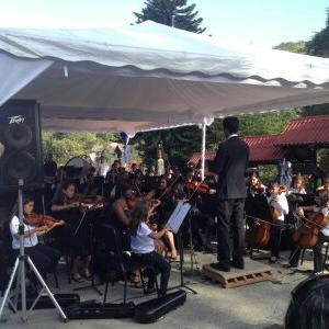 NucleoColonia_T's profile picture. 