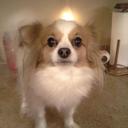 Ruby Moss - @8902fcd9d1ab499 - Twitter