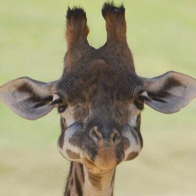 hokkaidoooo4's profile picture. 使ってよかったものを発信！