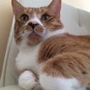 Guy Collins - @guytecatcollins - Twitter