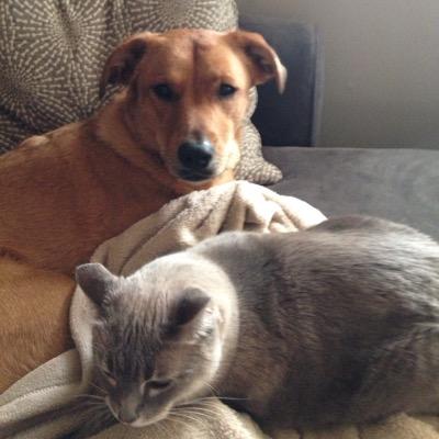 eacooke85's profile picture. 