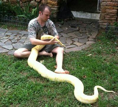 I'm a passionate reptile keeper.