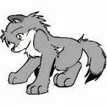 I-I'm Kodi, a shy little wolf pup