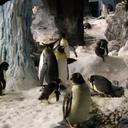 Donna Brower - @donna24642 - Twitter