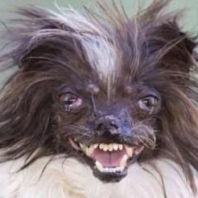 arb17chs's profile picture. 