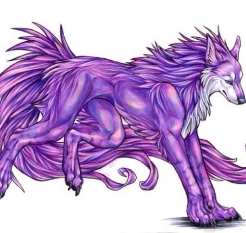 FaolanLegacy's profile picture. ☆☆☆☆☆☆▅▅▅▅▅▅▅▅▅ ☆☆☆☆☆☆▅▅▅▅▅▅▅▅▅ ☆☆☆☆☆☆▅▅▅▅▅▅▅▅▅ ▅▅▅▅▅▅▅▅▅▅▅▅▅▅▅ ▅▅▅▅▅▅▅▅▅▅▅▅▅▅▅ ▅▅▅▅▅▅▅▅▅▅▅▅▅▅▅