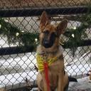 Mark Knapik - @MJK16prof - Twitter