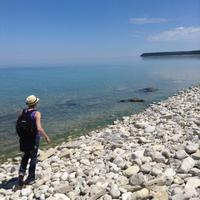 Dagmar Schroeder (@dagmarschroede3) 's Twitter Profile